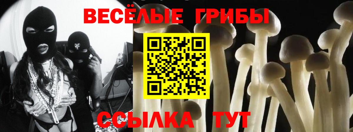 Псилоцибиновые грибы Magic Shrooms  где можно купить наркотик  Вход с VPN  Котовск  Галлюциногенные грибы Psilocybe 